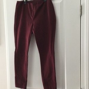 Cranberry knit Alfani ankle pants size 8 petite